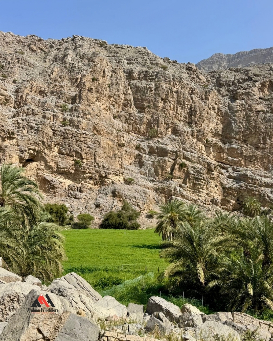 Hidden Oasis of Sal Shehha Hike