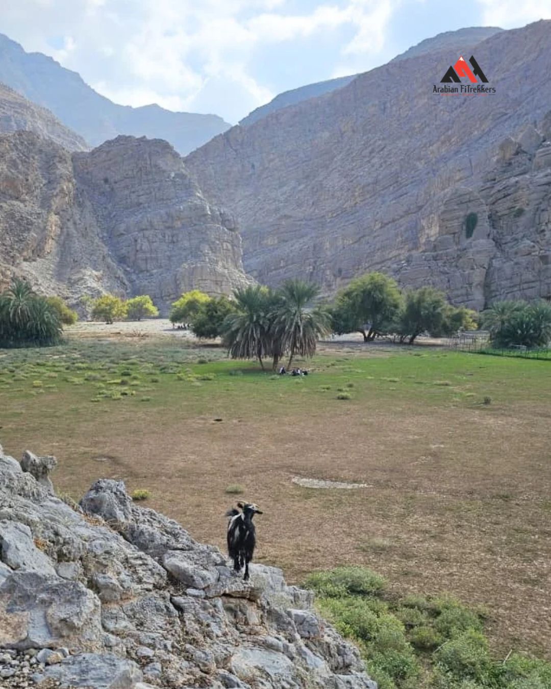 Hidden Oasis of Sal Shehha Hike